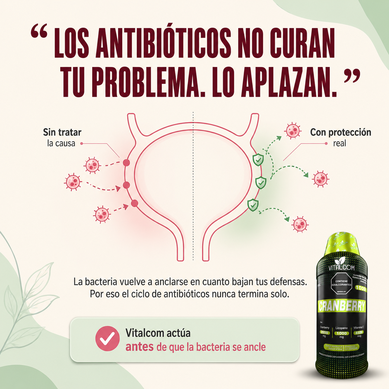 Vitalcom Cranberry 1000mL Tratamiento